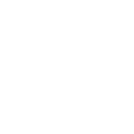 X / Twitter